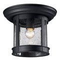 Z-Lite Outdoor Flush Mount Outdoor Flush Mount Light, Black And Clear Seedy 515F-BK